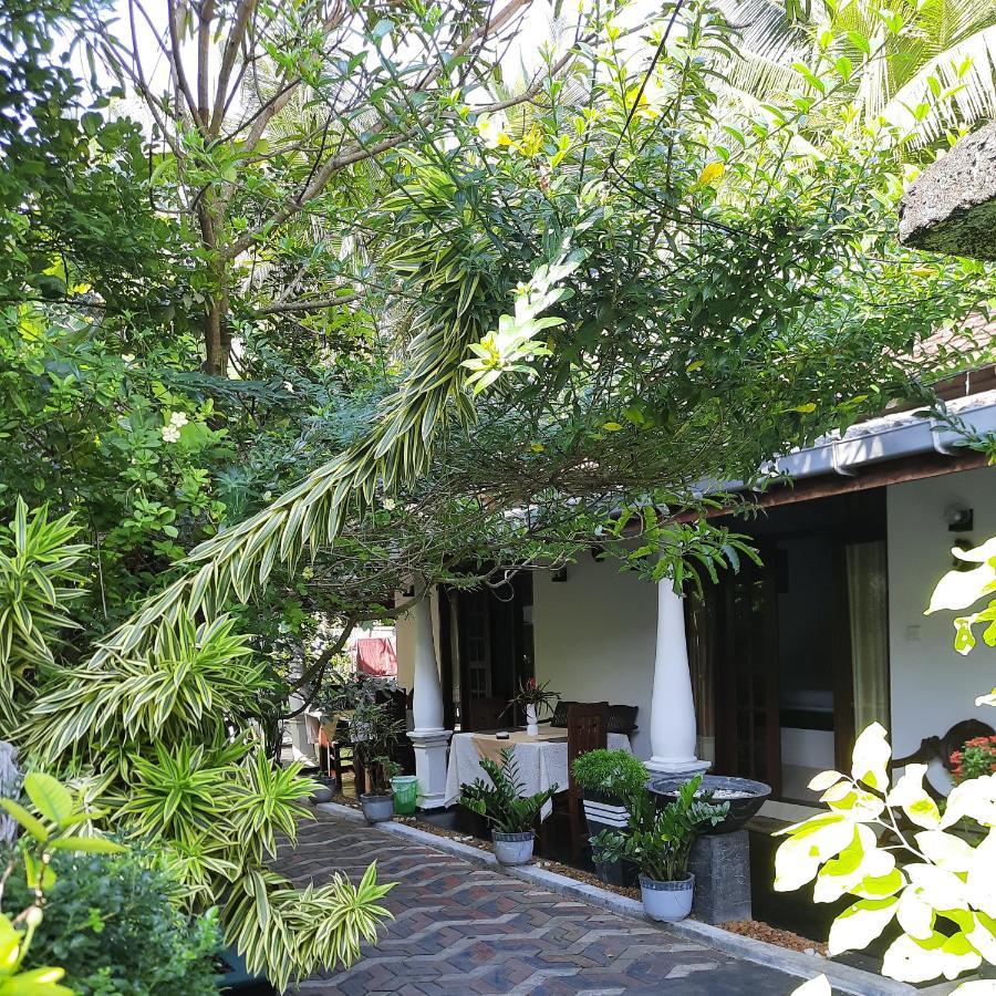 בנטוטה Susee Villa מראה חיצוני תמונה